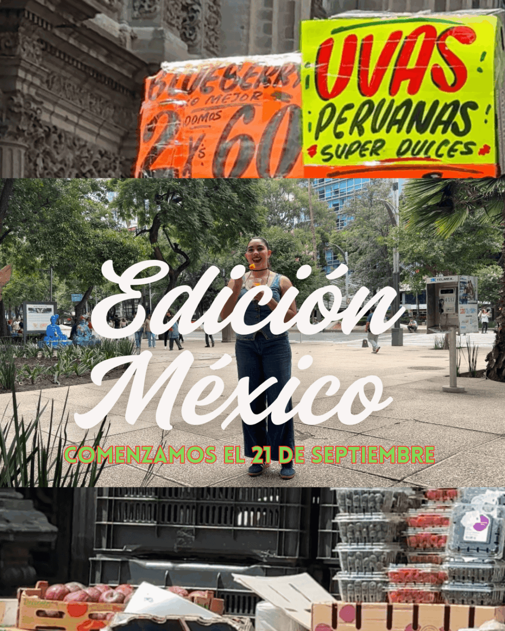 Post de Instagram - Independencia de México - Moderno y blanco-Uant Reto - Edición México
